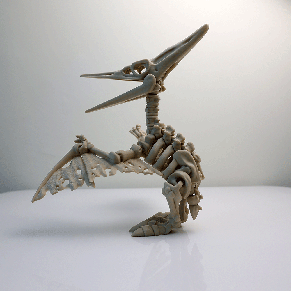 関節可動 スケルトン プテラノドン フィギュア – Barikiyo