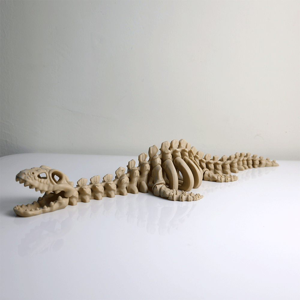 Articulated Plesiosaurus Skeleton
