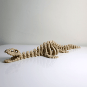 Articulated Plesiosaurus Skeleton