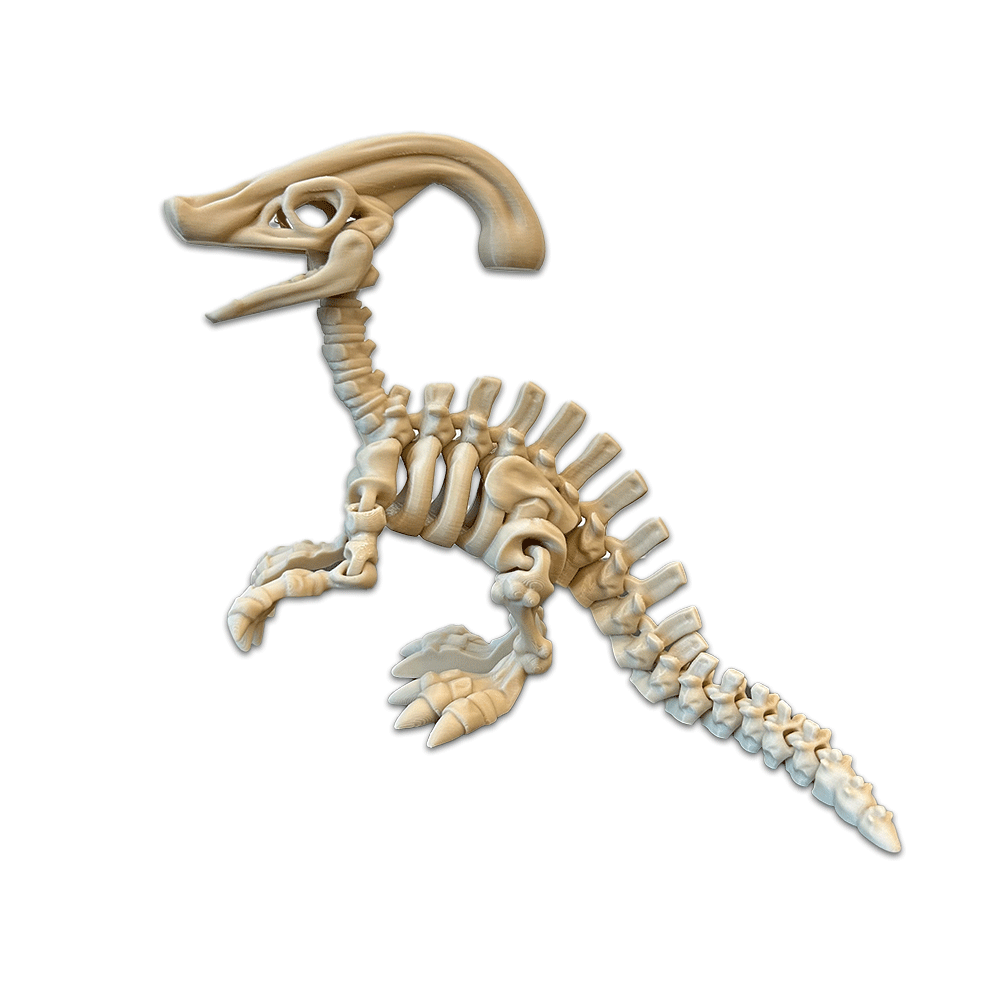 Skeleton Dinosaur