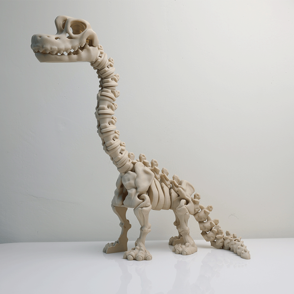 関節可動 スケルトン ブラキオサウルス フィギュア