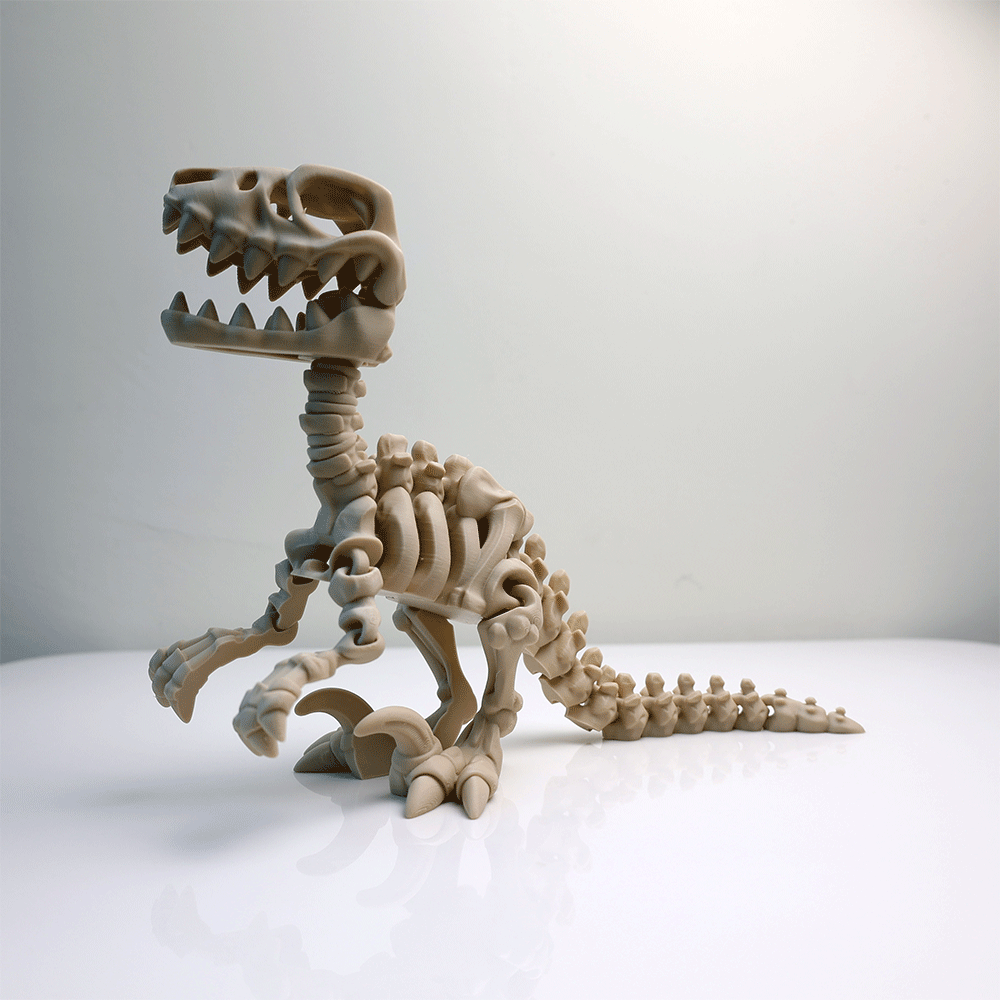 Articulated Skeleton Raptor Figure