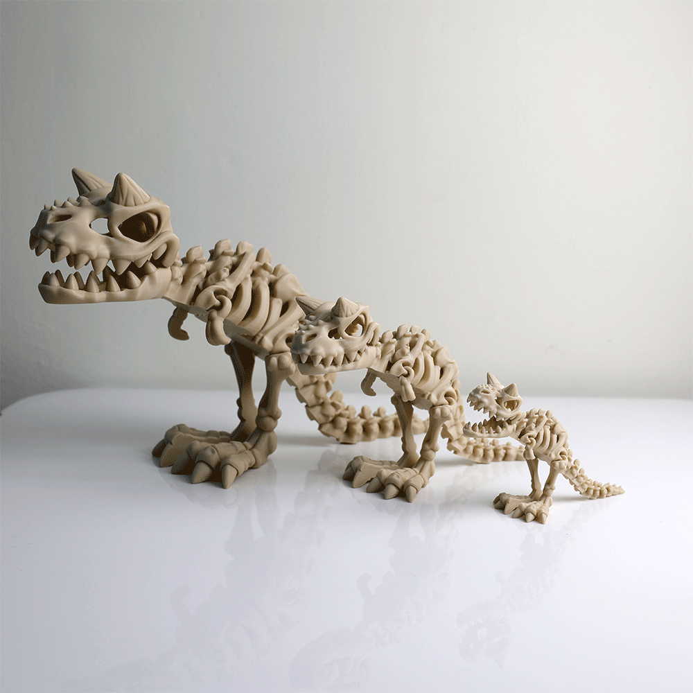 Articulated Skeleton Carnotaurus