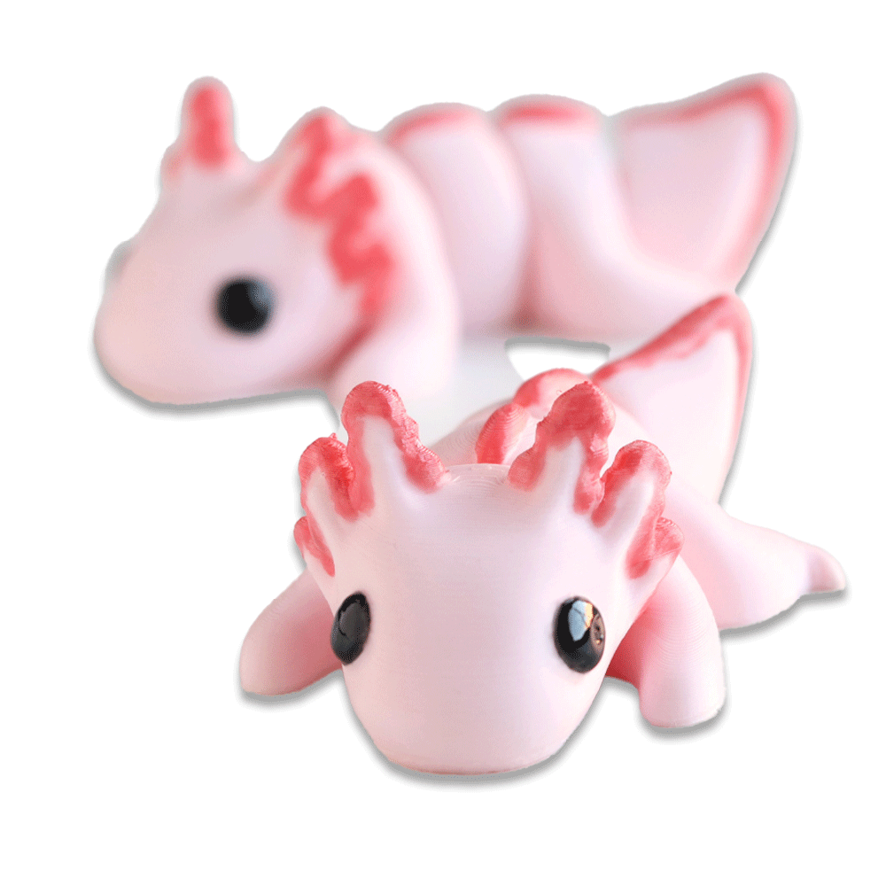 Axolotl - Barikiyo