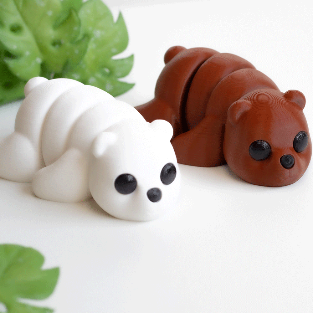 Brown Bear - Barikiyo