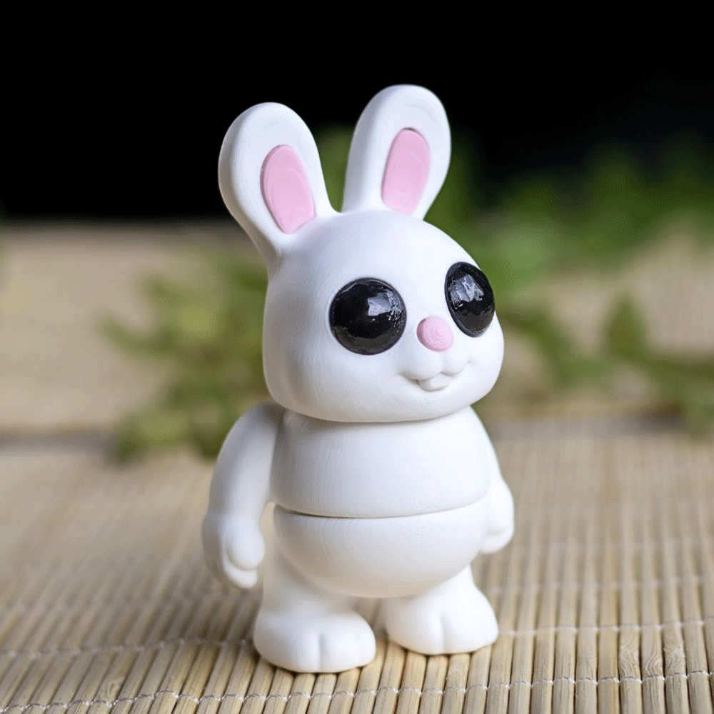 Bunny Rabbit - Barikiyo
