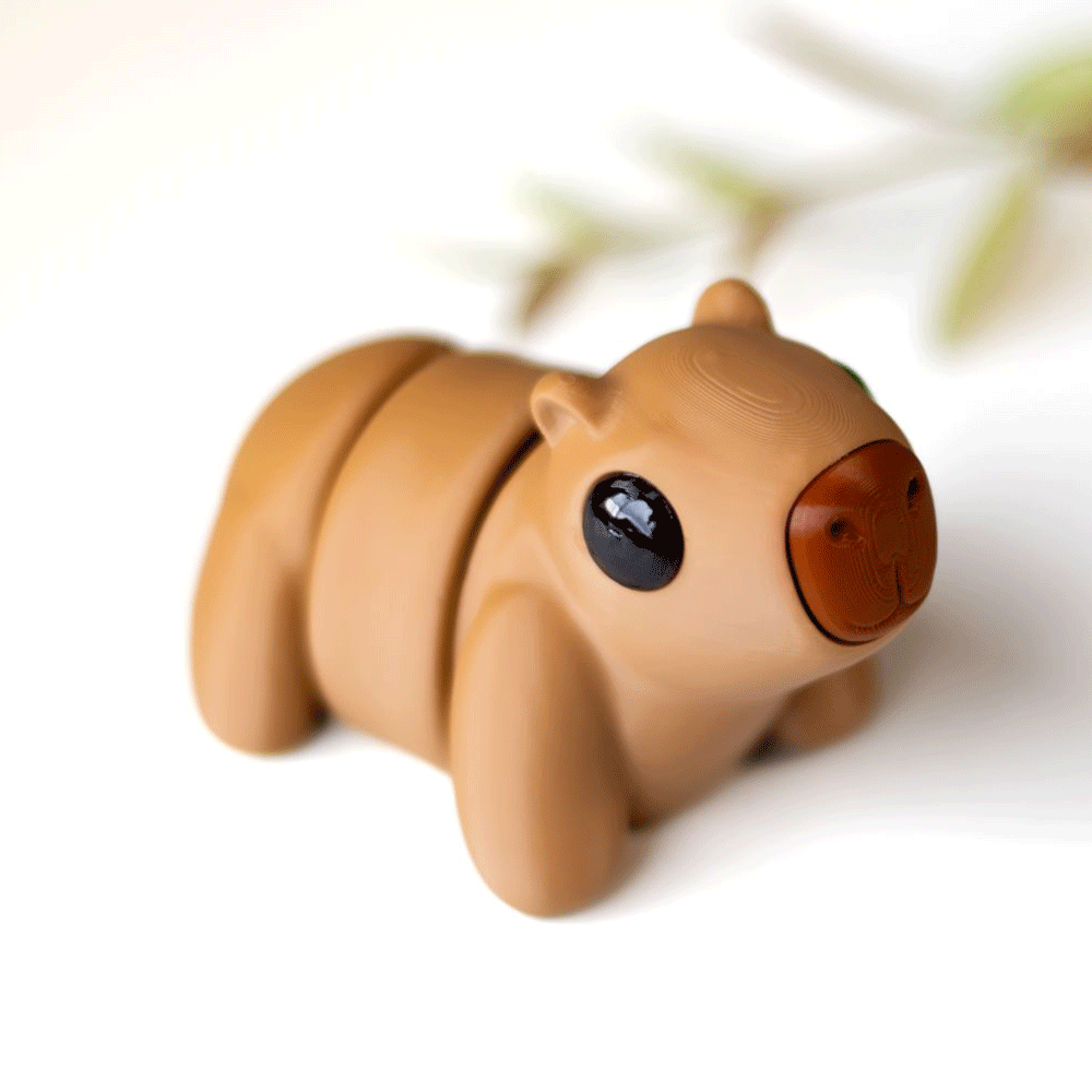 Capybara - Barikiyo
