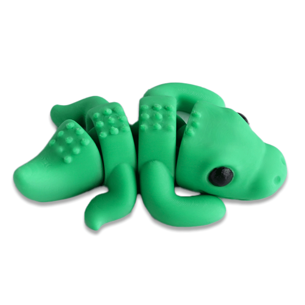 Crocodile - Barikiyo