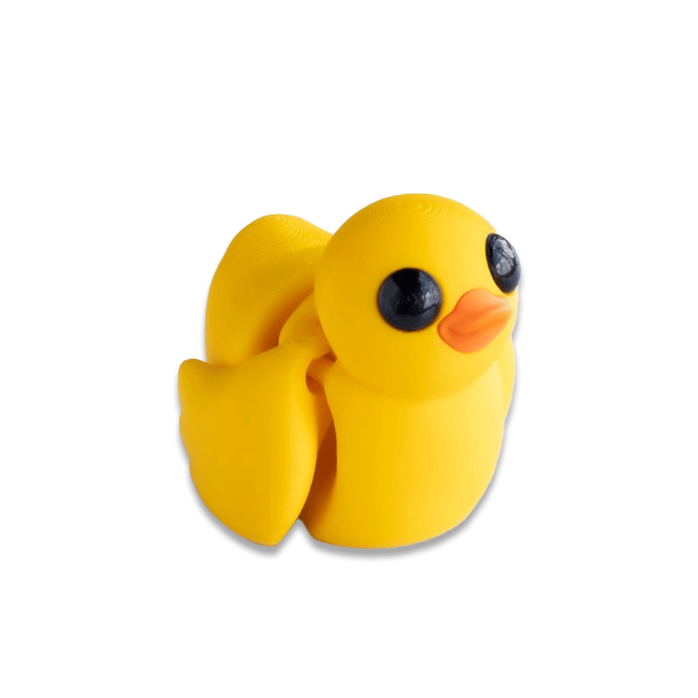 Duck - Barikiyo