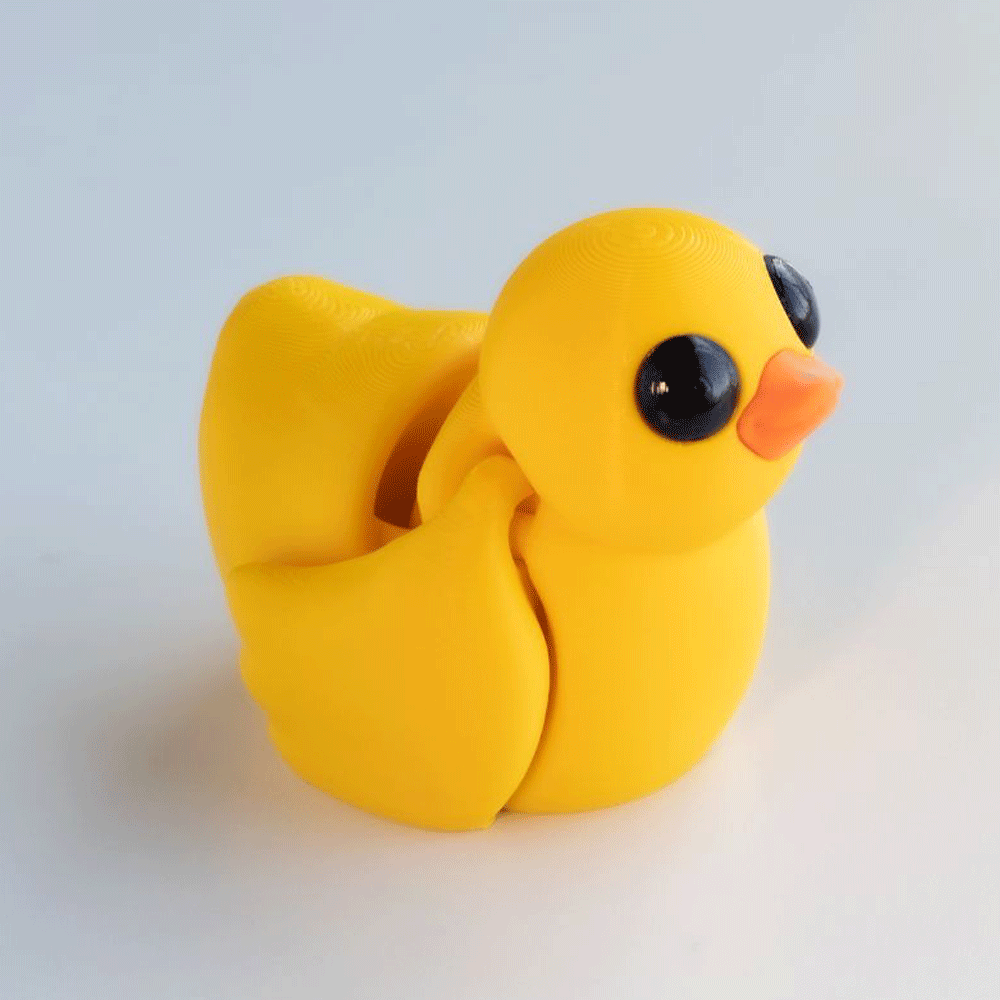 Duck - Barikiyo