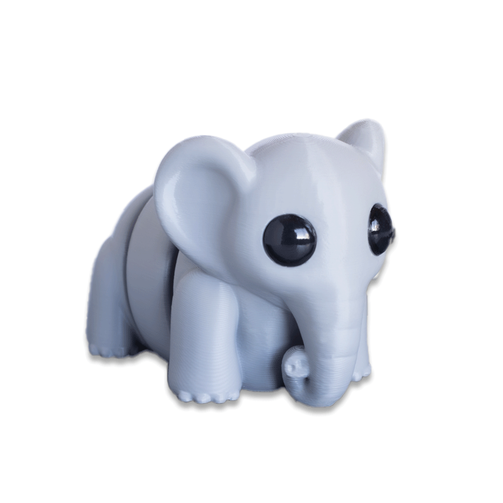 Elephant - Barikiyo