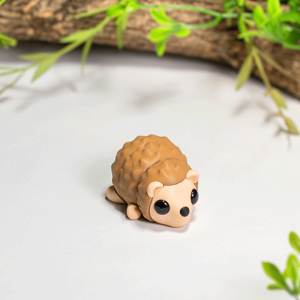 Hedgehog - Barikiyo