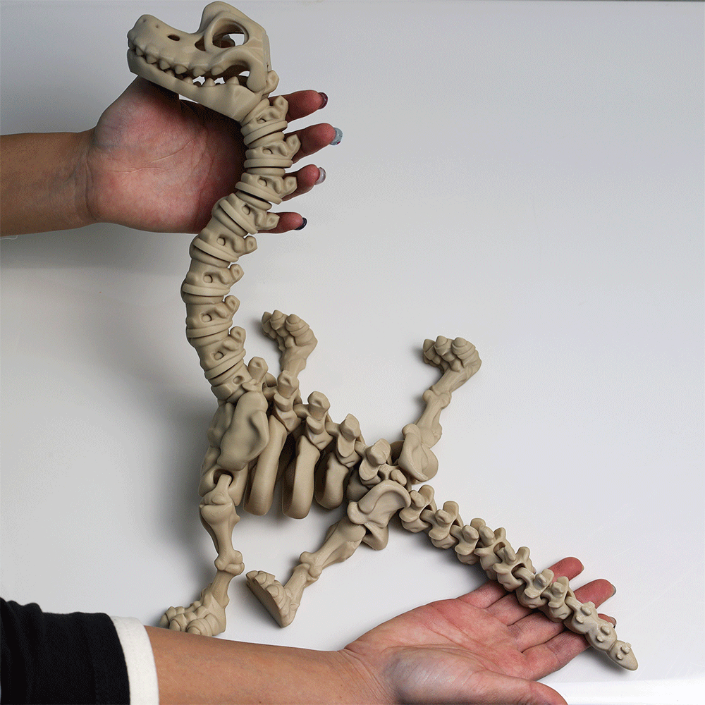 関節可動 スケルトン ブラキオサウルス フィギュア – Barikiyo