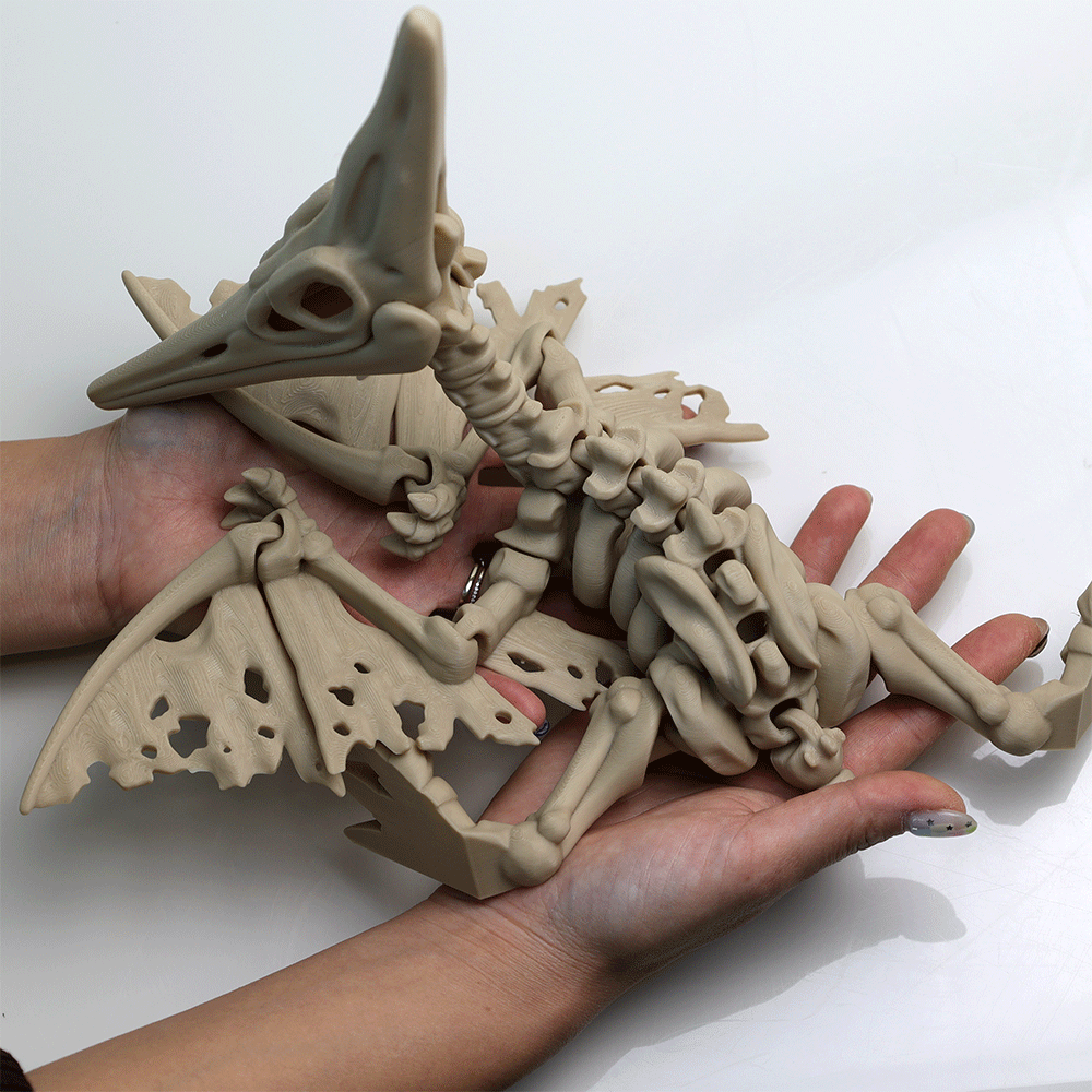 関節可動 スケルトン プテラノドン フィギュア – Barikiyo