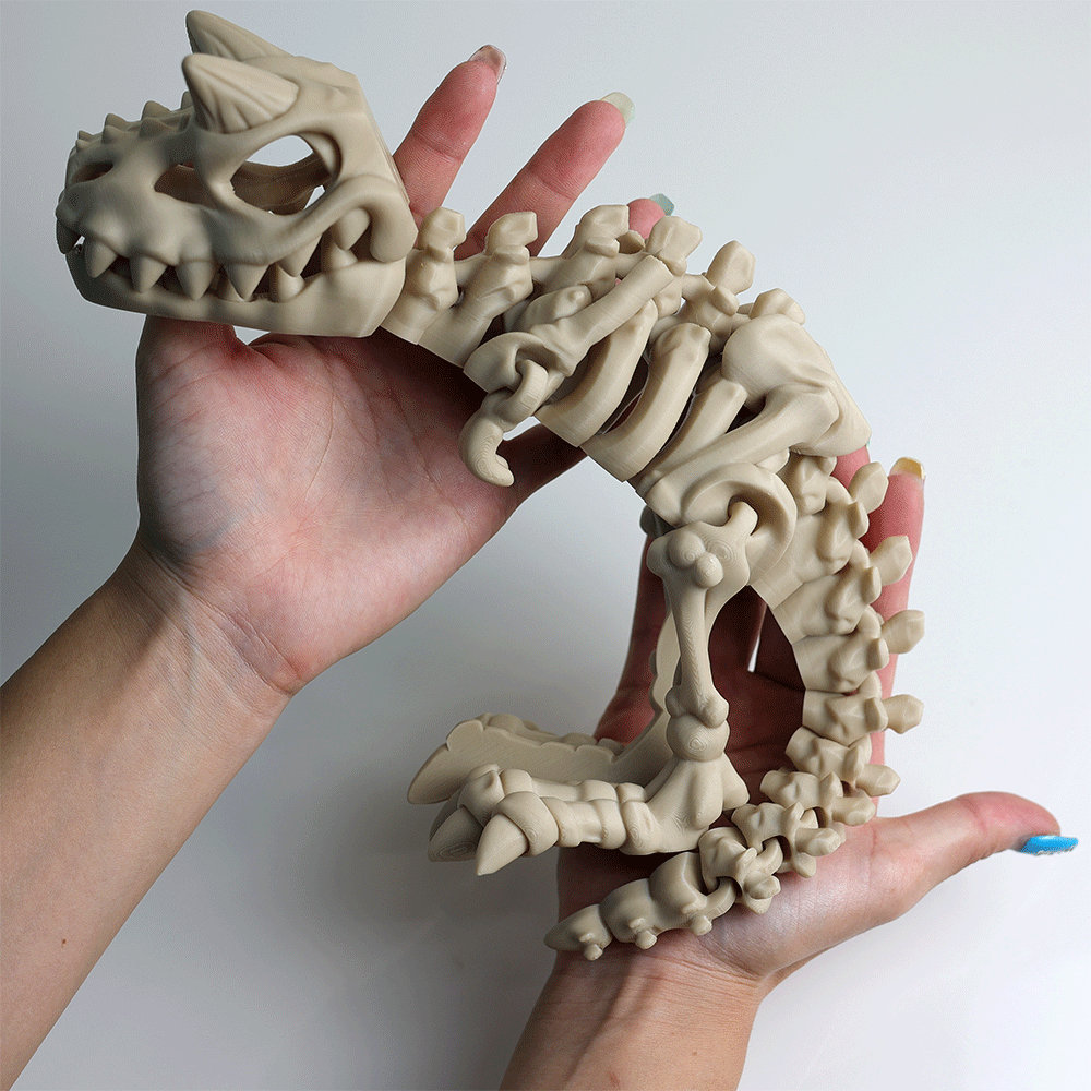 Articulated Skeleton Carnotaurus