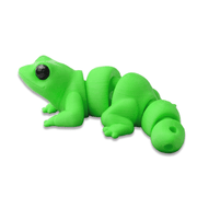 Lizard - Barikiyo