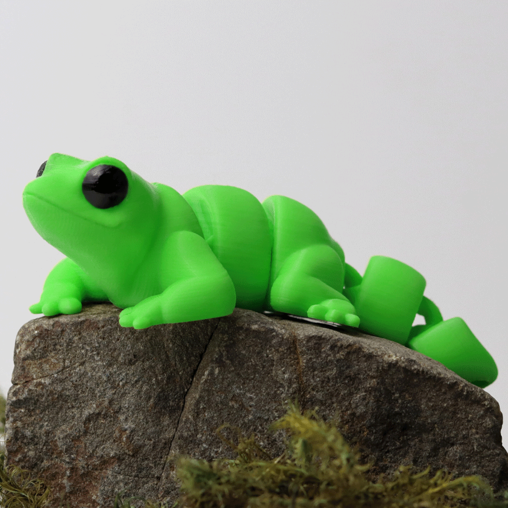 Lizard - Barikiyo