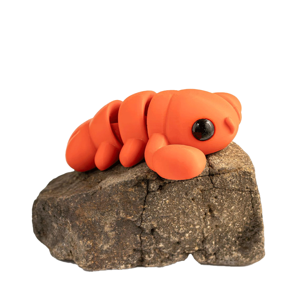 Lobster - Barikiyo