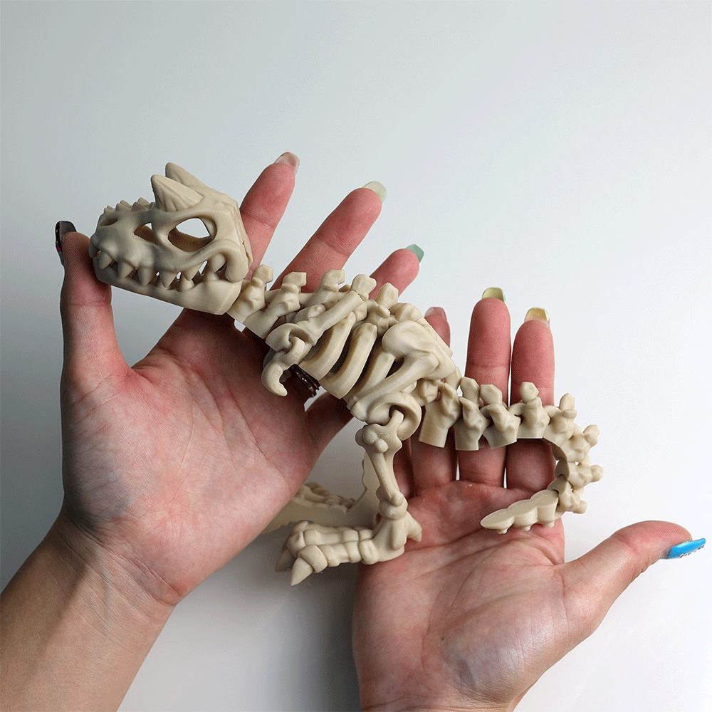 Articulated Skeleton Carnotaurus