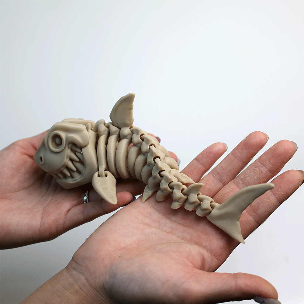 関節可動 スケルトン メガロドン フィギュア – Barikiyo