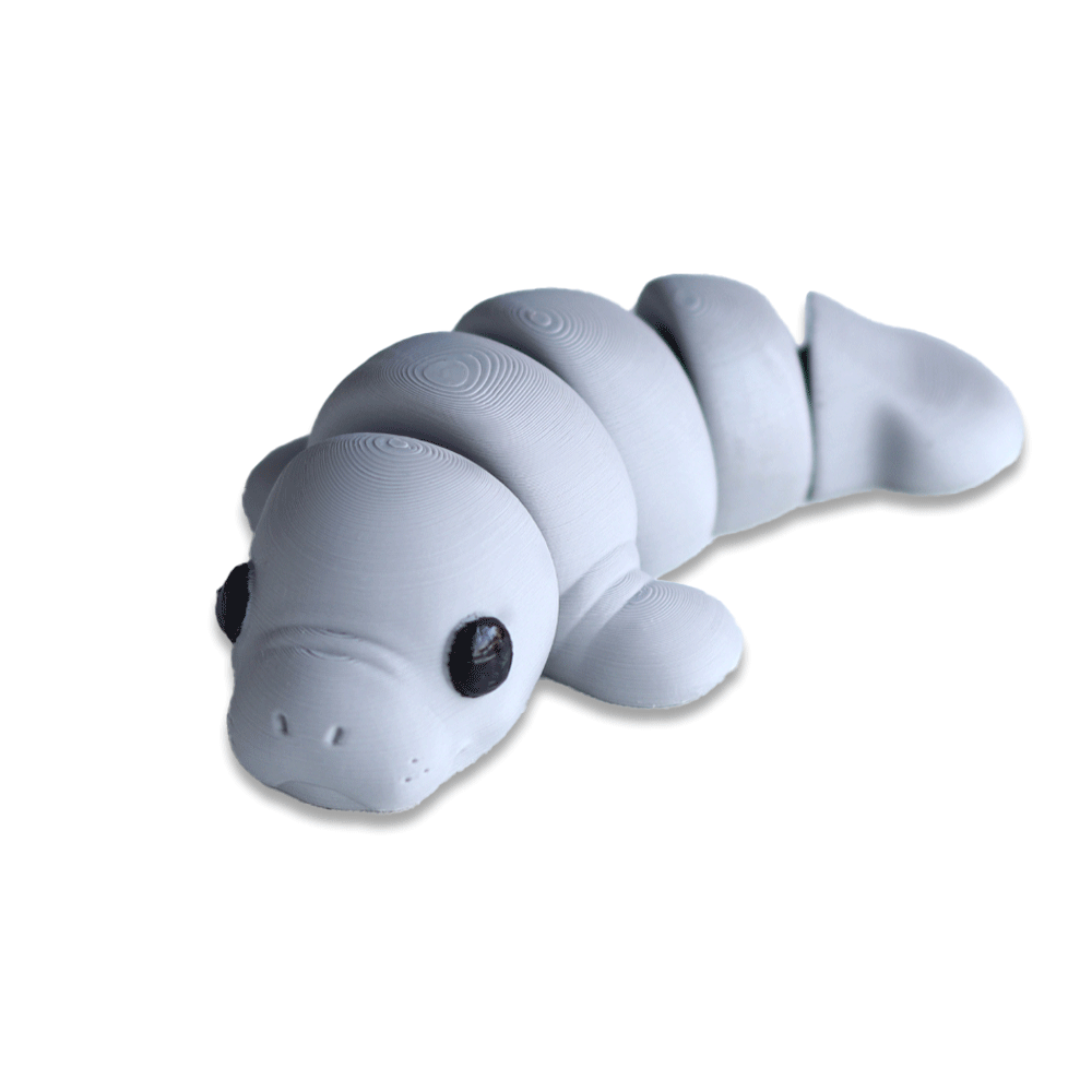 Manatee - Barikiyo