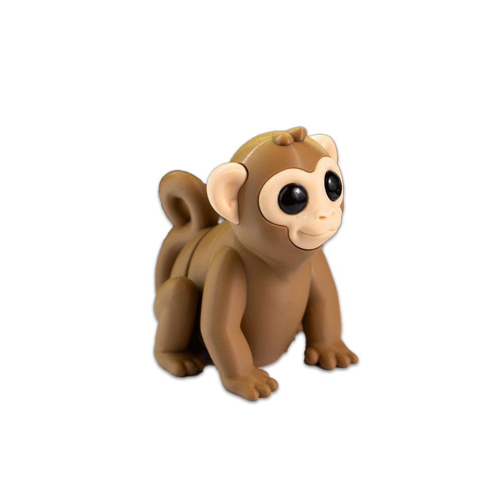 Monkey - Barikiyo