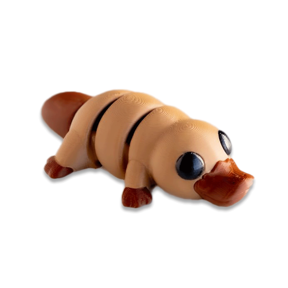 Platypus - Barikiyo