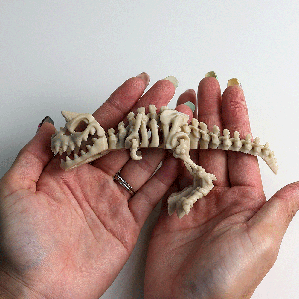 Articulated Skeleton Carnotaurus