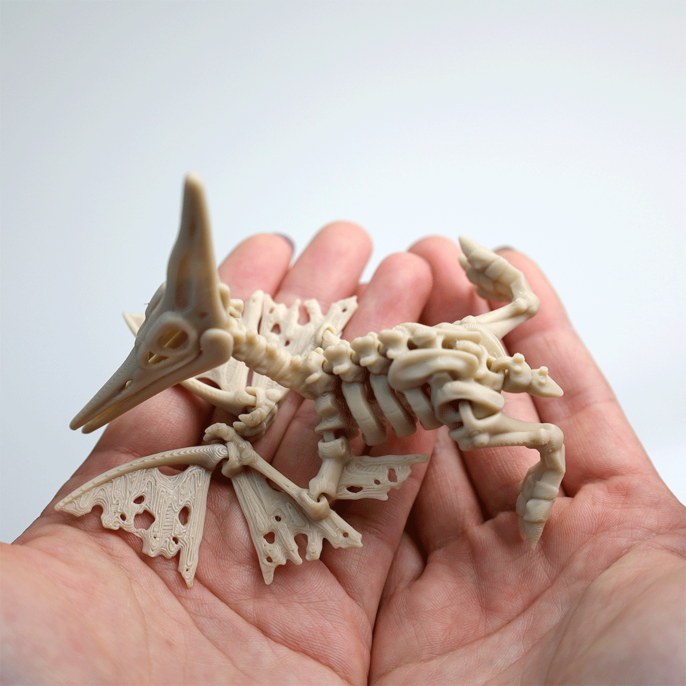 関節可動 スケルトン プテラノドン フィギュア – Barikiyo