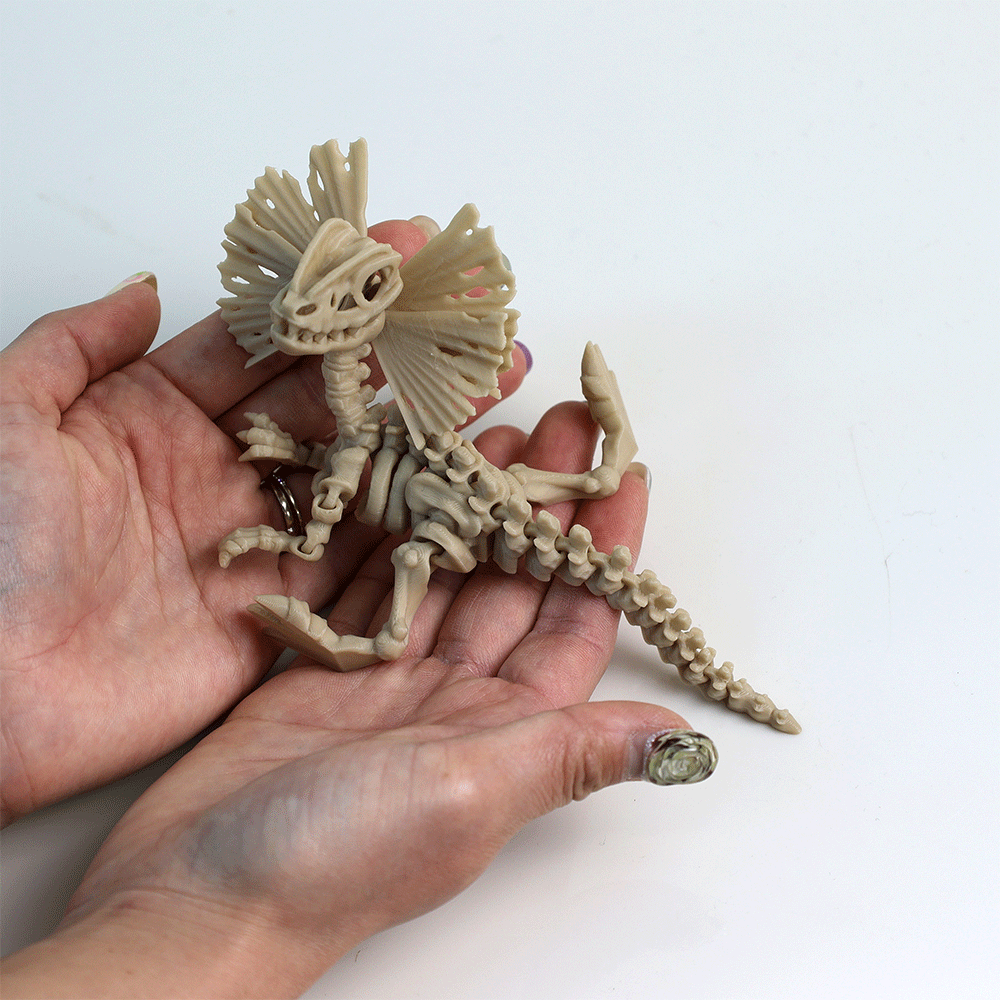 関節可動 スケルトン ディロフォサウルス – Barikiyo