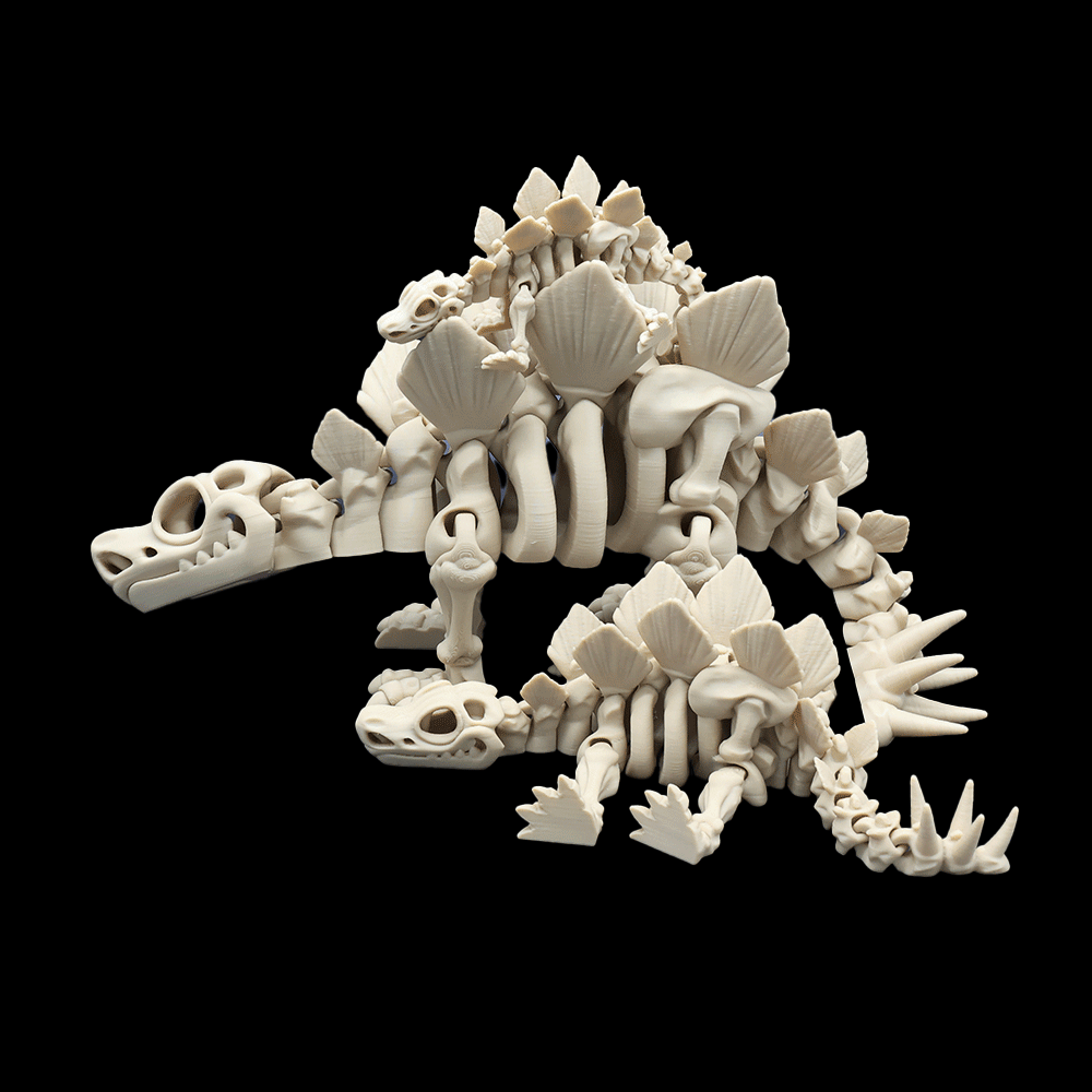 Skeleton Stegosaurus - Barikiyo