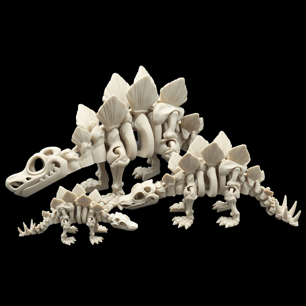 Skeleton Stegosaurus - Barikiyo