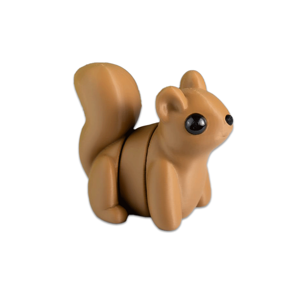 Squirrel - Barikiyo