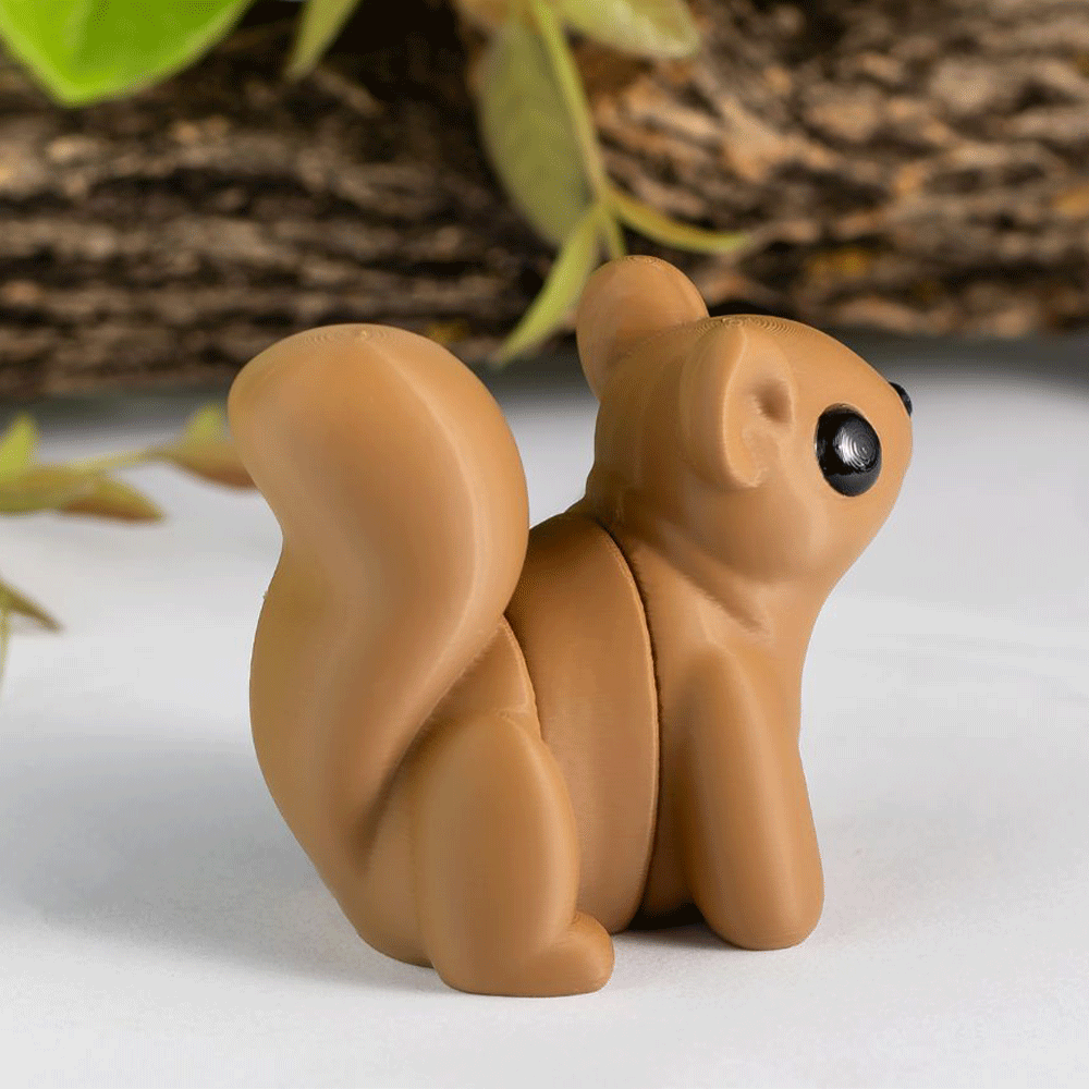 Squirrel - Barikiyo