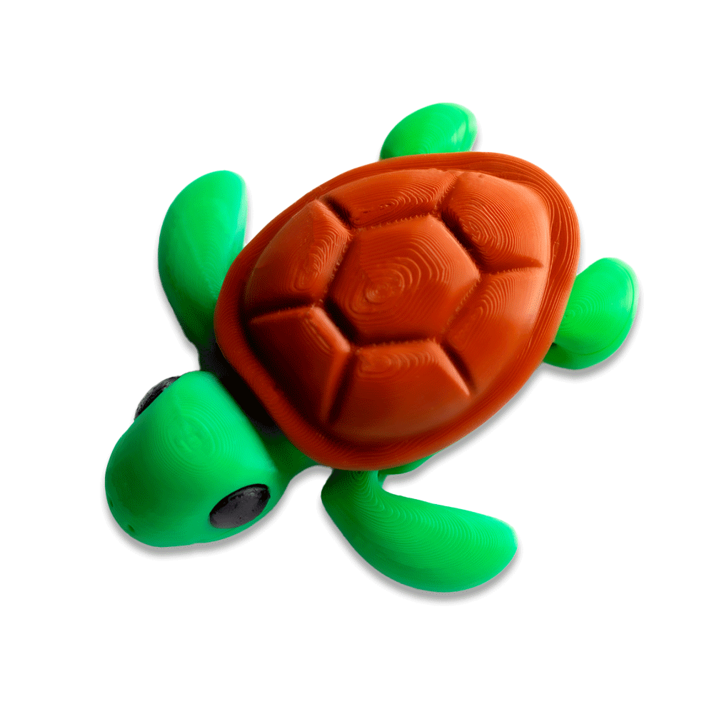 Turtle - Barikiyo