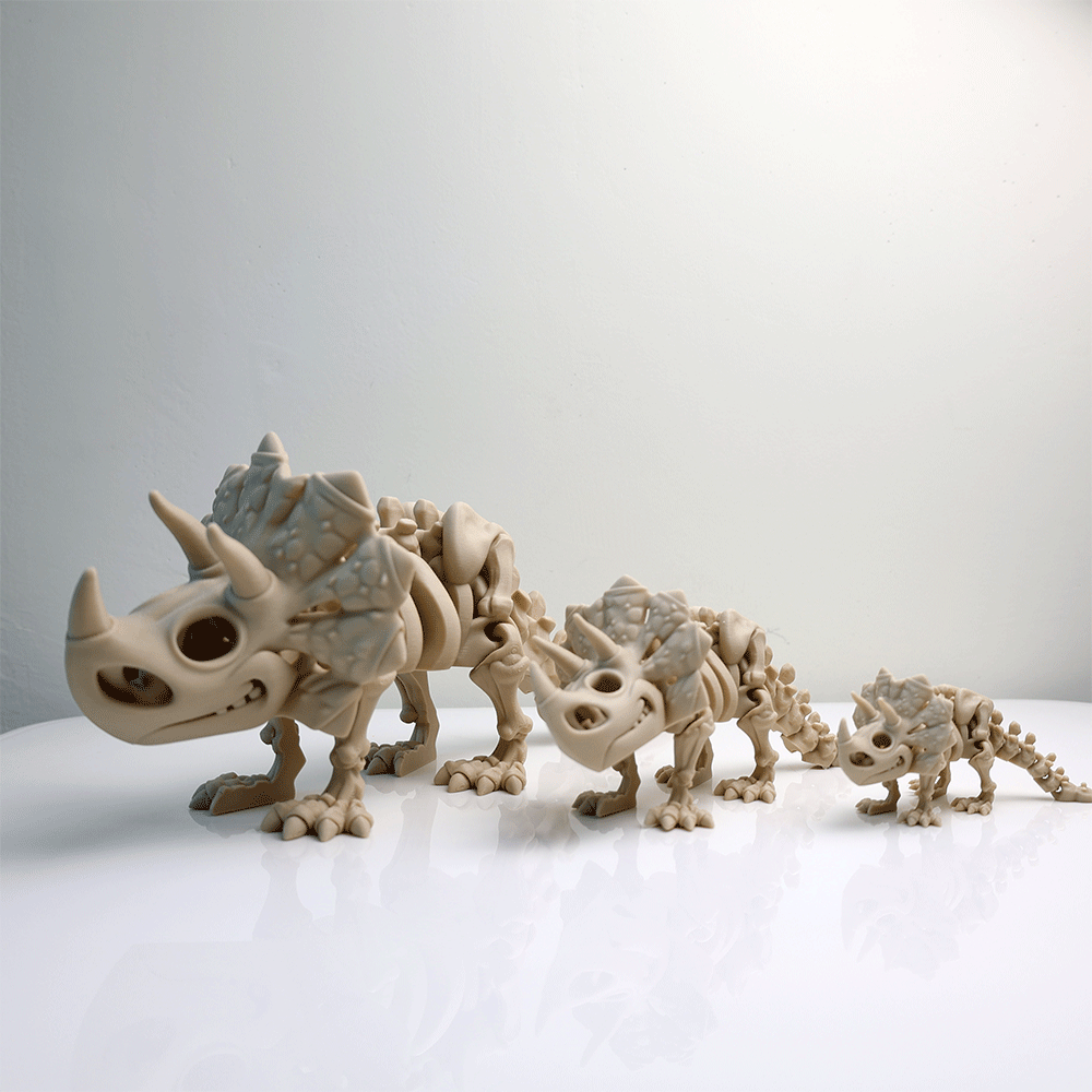 関節可動 スケルトン トリケラトプス フィギュア