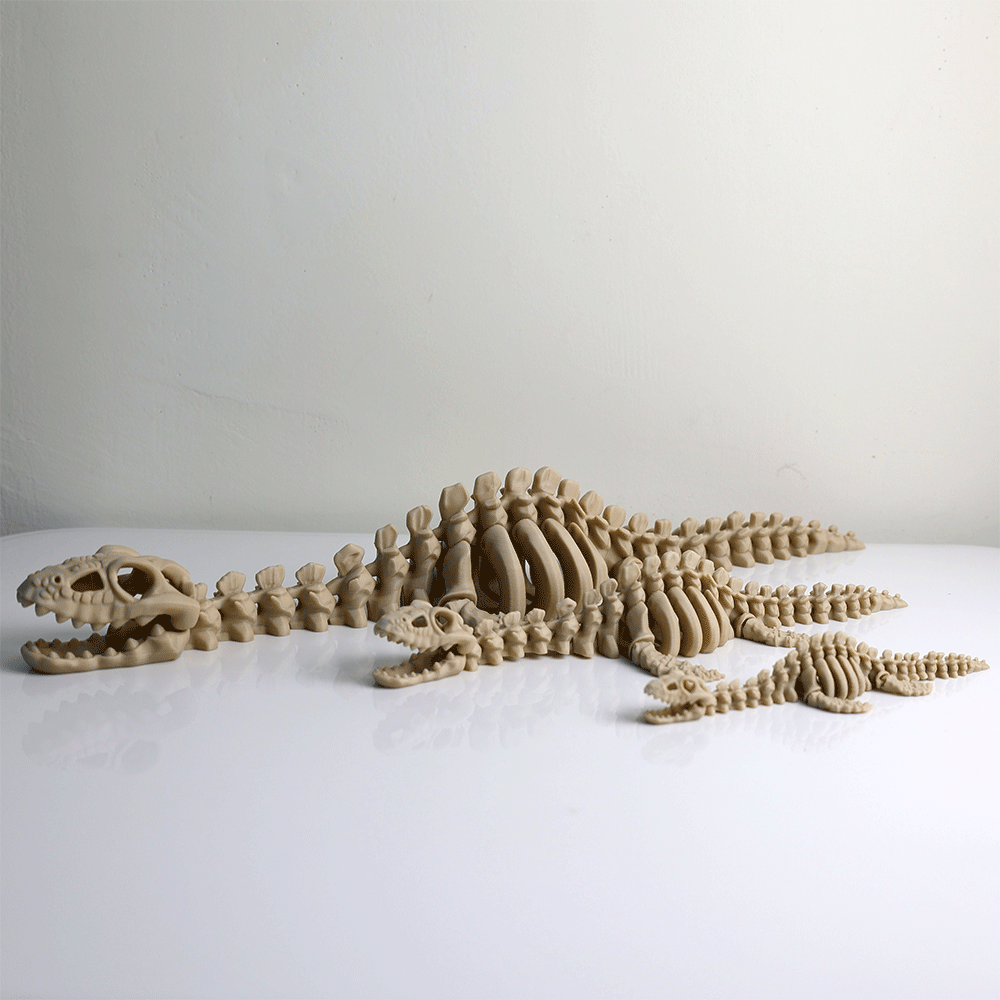 Articulated Plesiosaurus Skeleton