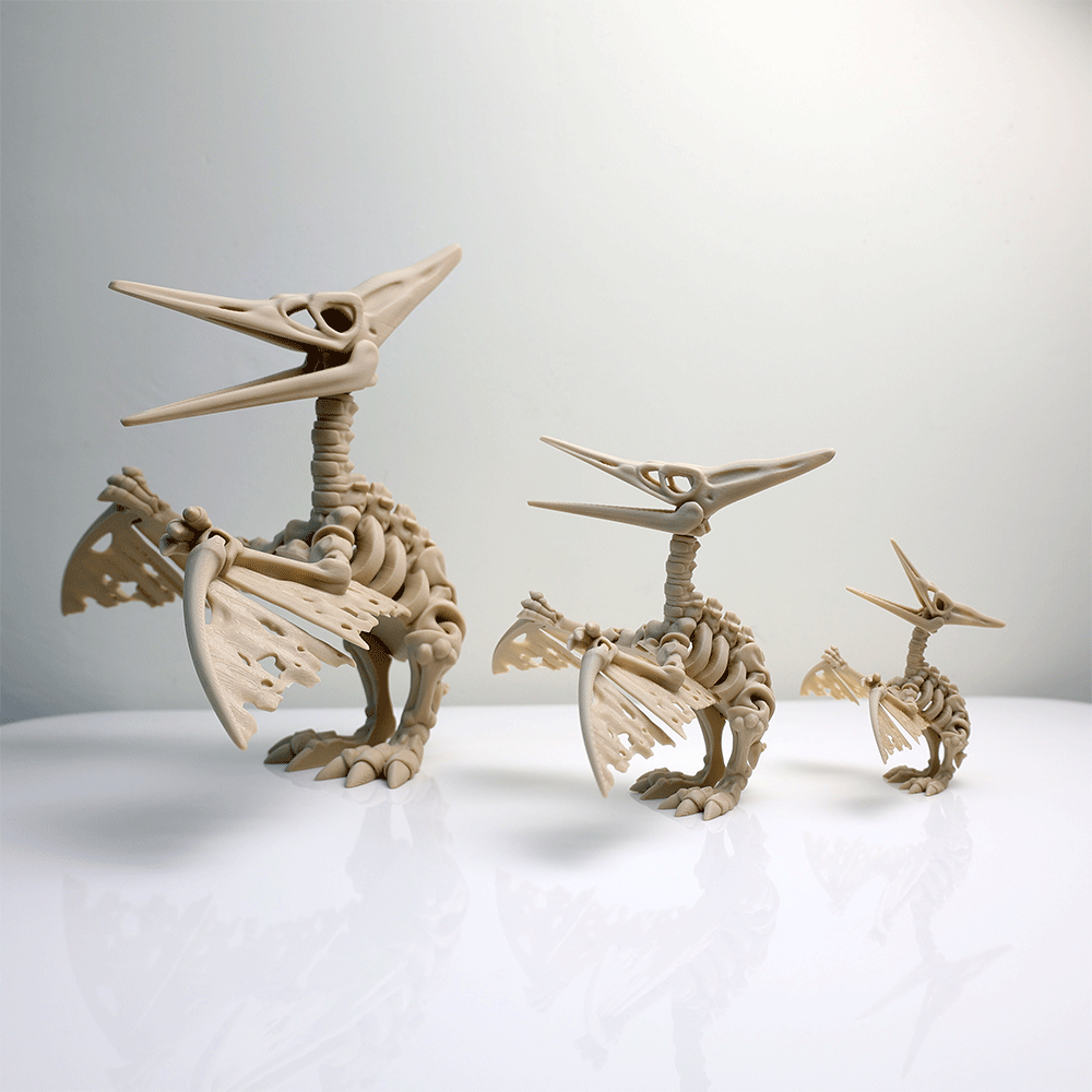 関節可動 スケルトン プテラノドン フィギュア