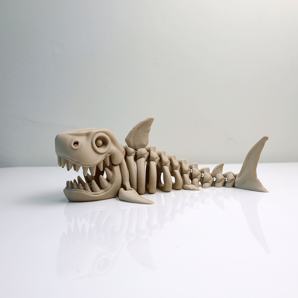 Articulated Skeleton Megalodon Figure