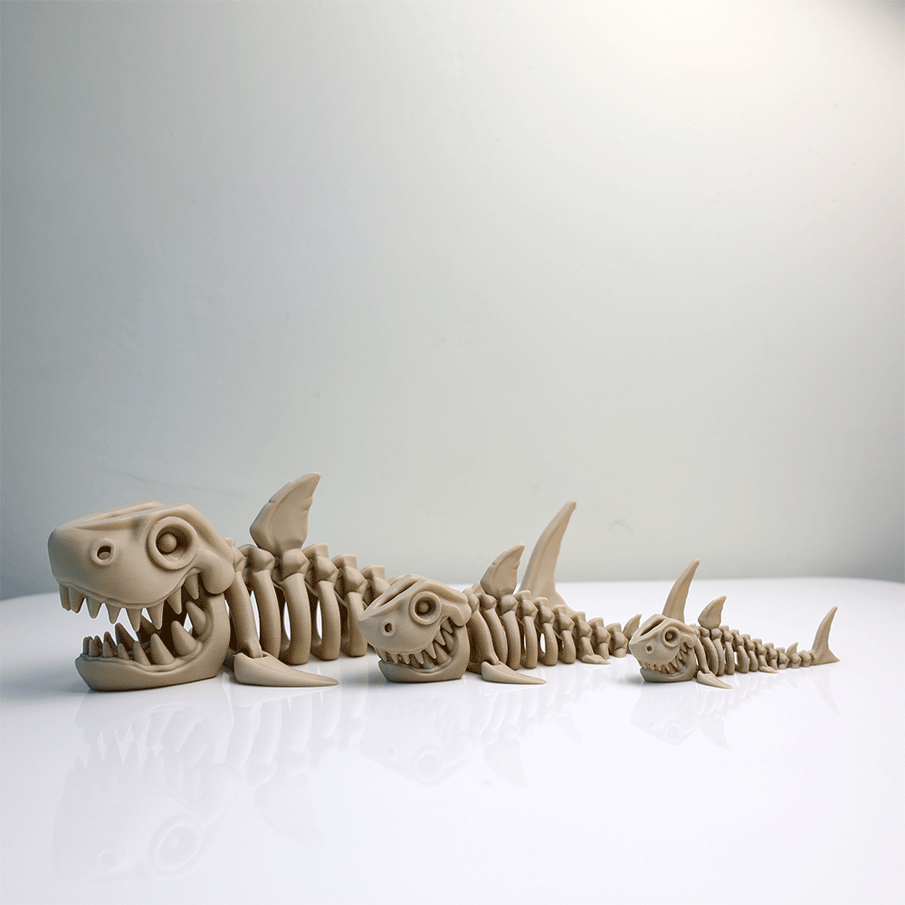Articulated Skeleton Megalodon Figure