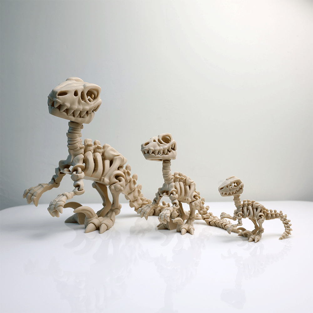 Articulated Skeleton Raptor Figure