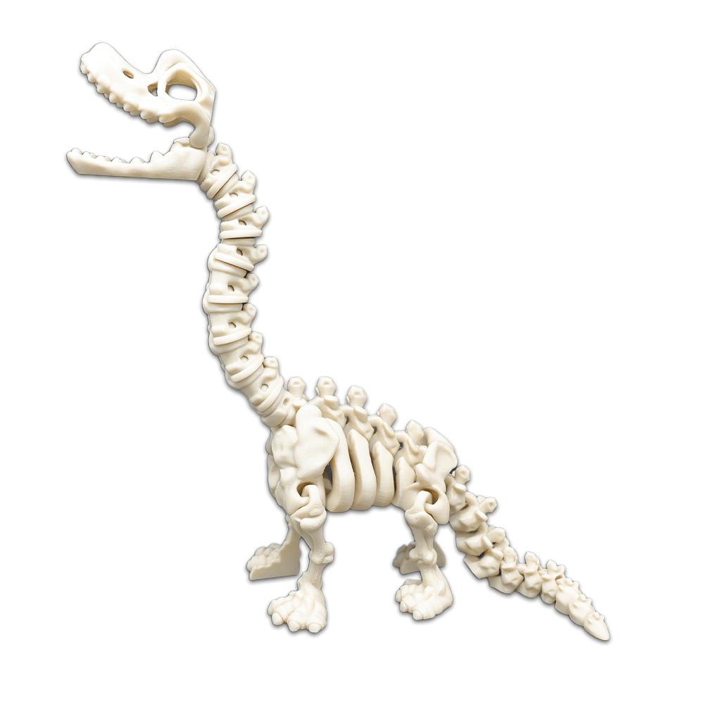 Skeleton Dinosaur