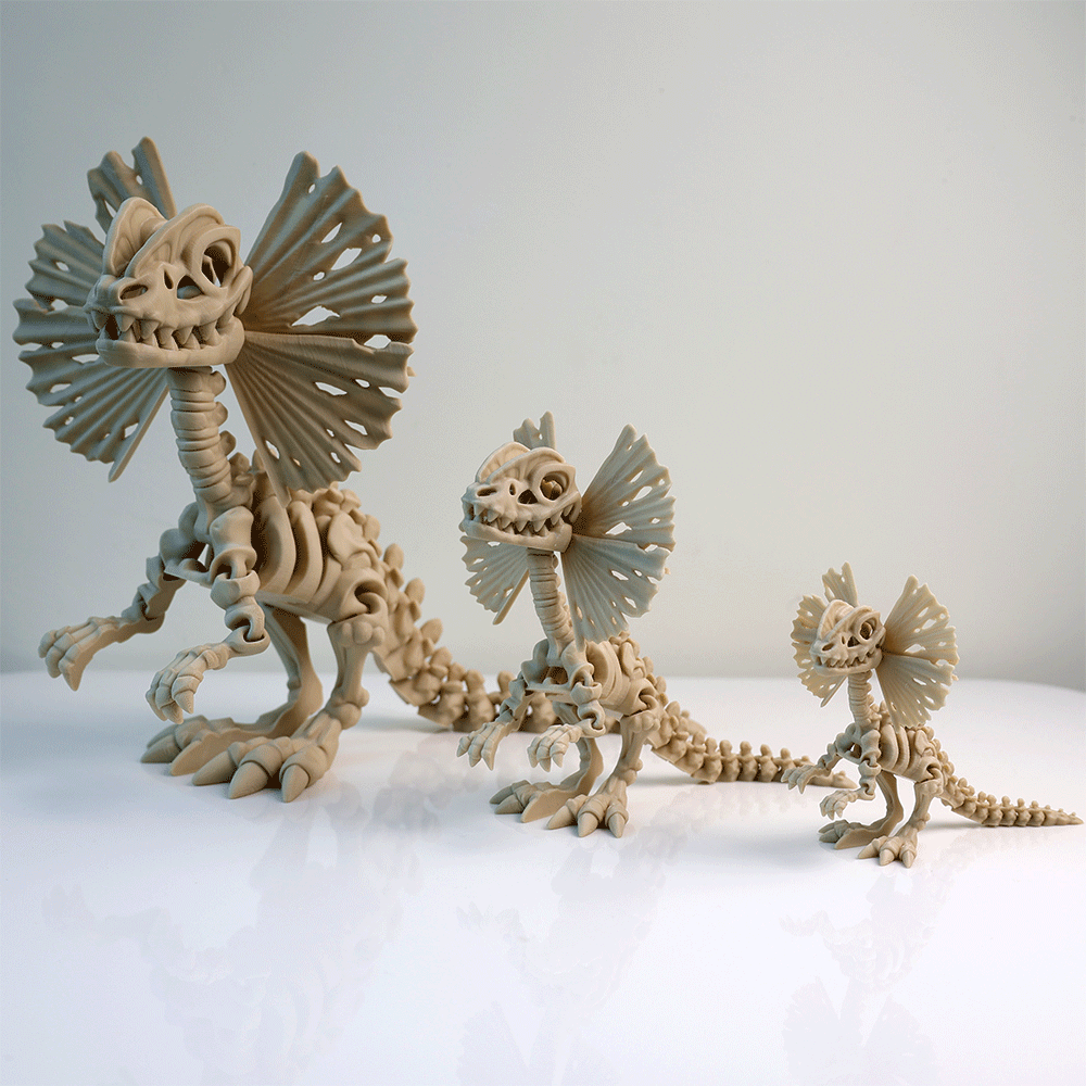 関節可動 スケルトン ディロフォサウルス