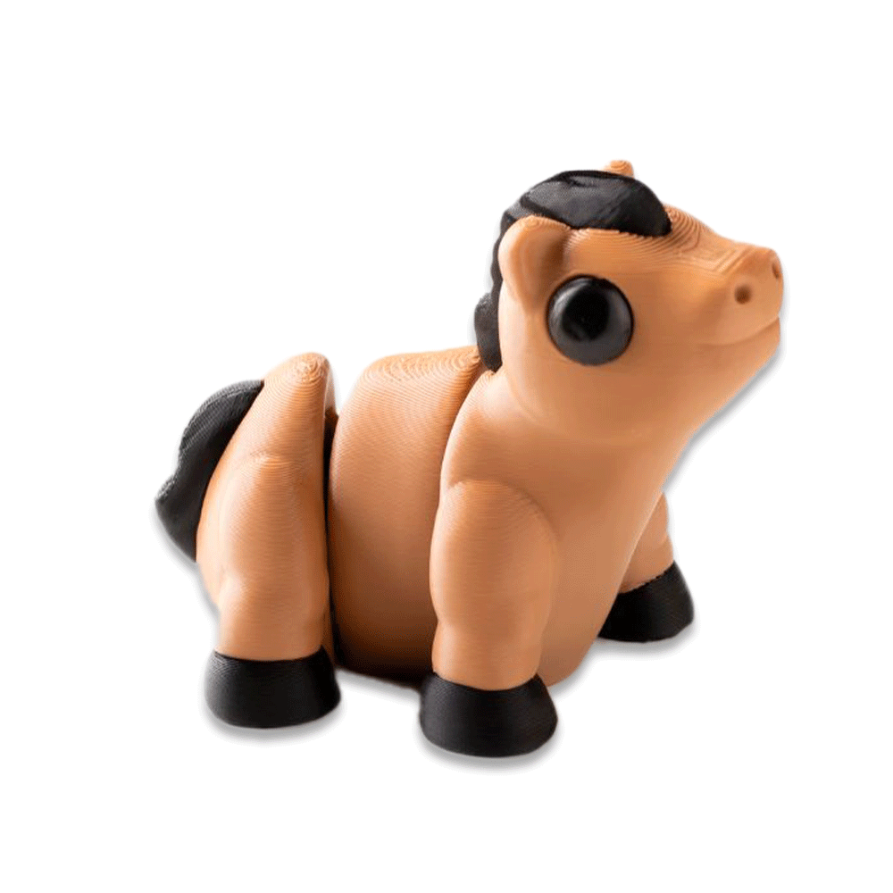 horse - Barikiyo