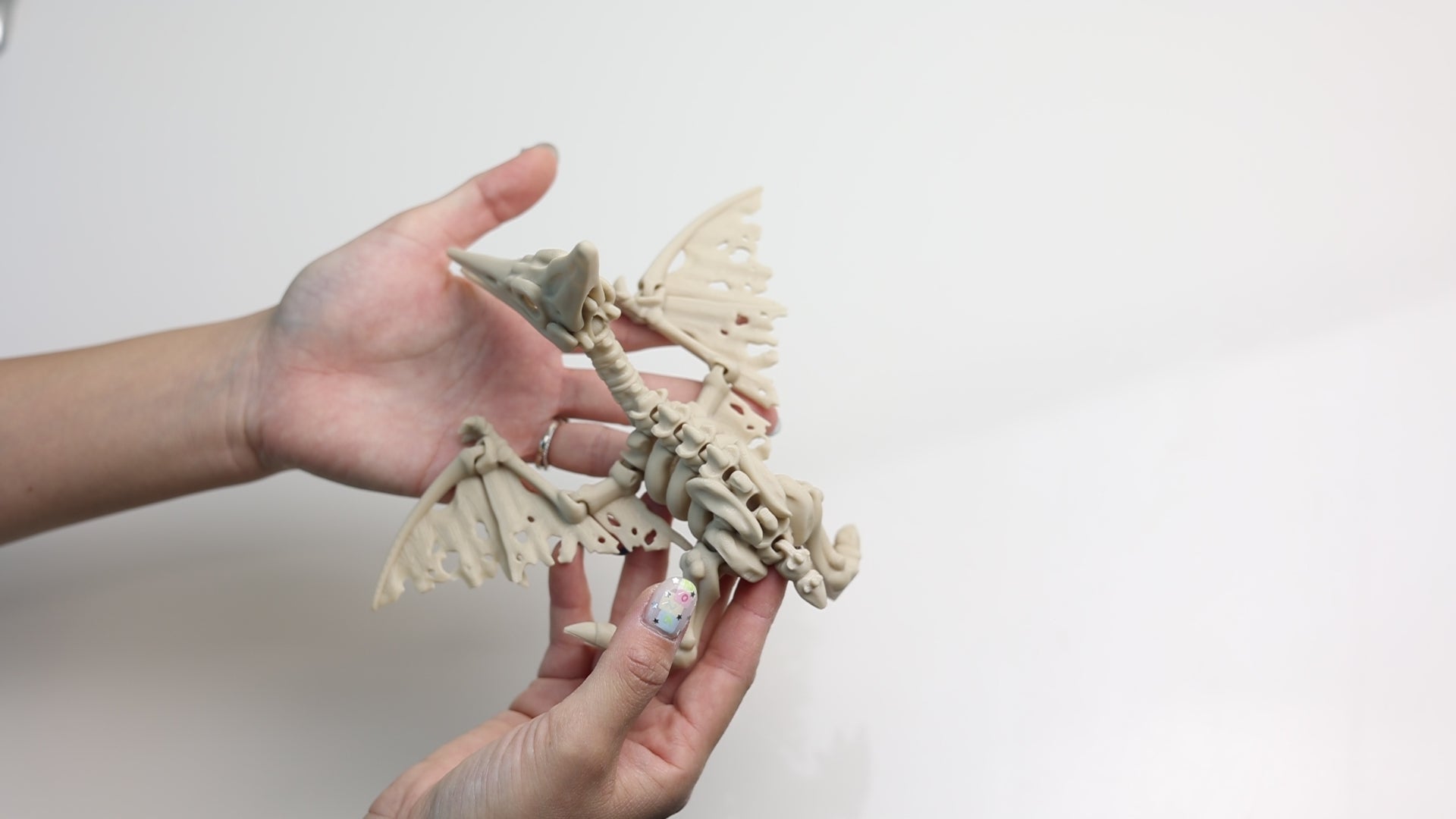 関節可動 スケルトン プテラノドン フィギュア – Barikiyo
